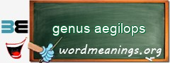 WordMeaning blackboard for genus aegilops